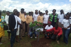 Cheptiret Dispensary Tree Planting