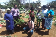 Members Purchasing Tree Seedlings According To Their Ages