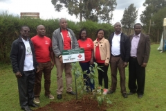 Moiben Dispensary Tree Panting With AAR