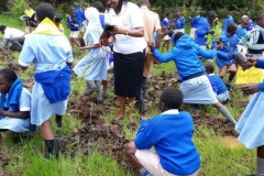 National Coordinator at Langata West Primary Tree Planting