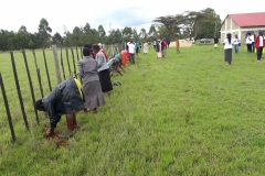 Tree Planting at Kesses Subcounty AIC Nandet