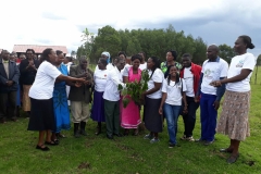 Tree Planting Excercise