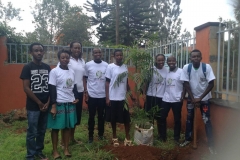 Tree Planting Youth Team