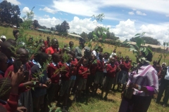 Students Planting Trees