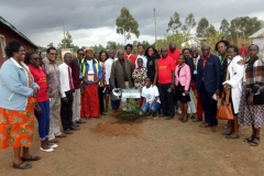 Chebarus Primary Kimumu 2019 Tree Planting