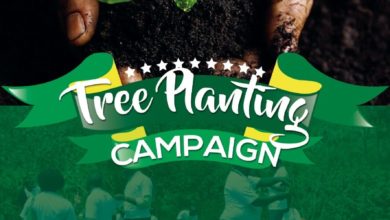 Tree Planting Campaign