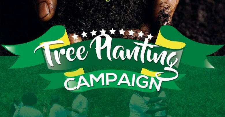 Tree Planting Campaign